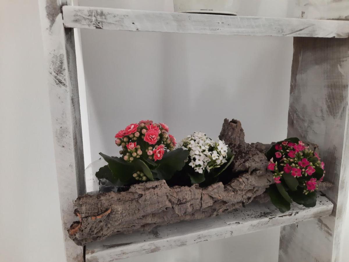 Apartamento Casa Cruz *